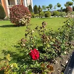 Sea View On The Sunny شقة سفيتي فلاس