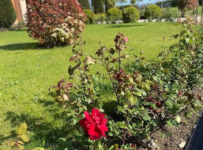 Sea View On The Sunny Apartament Święty Włas